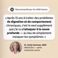 Cure Antiparasitaire en Gouttes — BELPOIL™