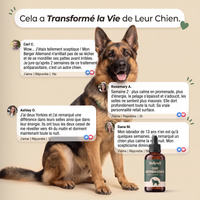 Cure Antiparasitaire en Gouttes — BELPOIL™