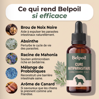 Cure Antiparasitaire en Gouttes — BELPOIL™
