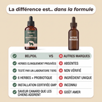 Cure Antiparasitaire en Gouttes — BELPOIL™