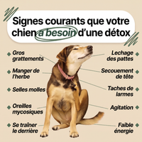Cure Antiparasitaire en Gouttes — BELPOIL™