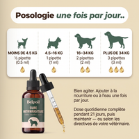 Cure Antiparasitaire en Gouttes — BELPOIL™