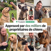 Cure Antiparasitaire en Gouttes — BELPOIL™